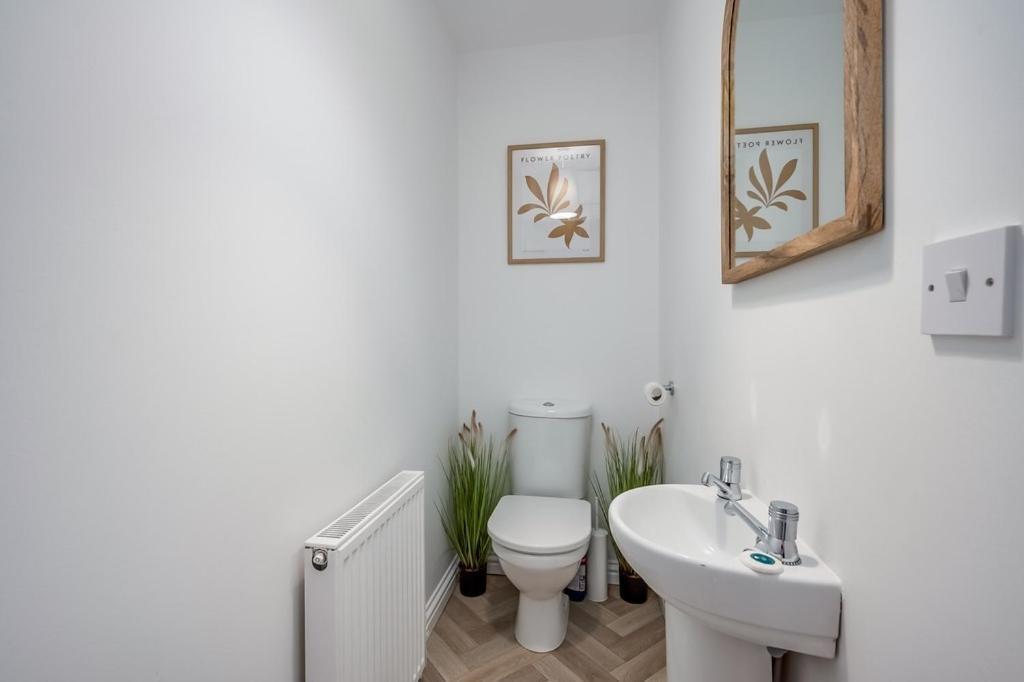 Central Belfast Apartments Chill R&R Eksteriør billede